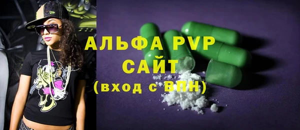 гашик Богданович