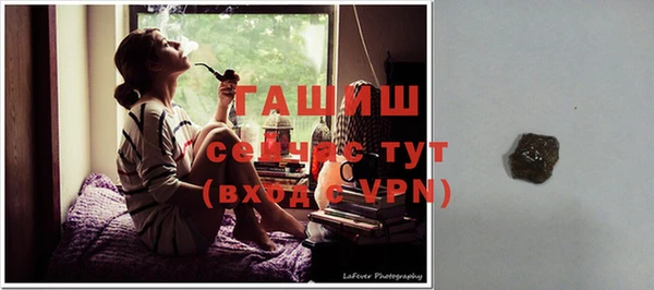 гашик Богданович