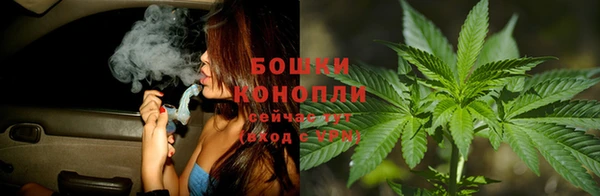 Альфа ПВП Богородск