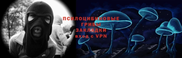 Альфа ПВП Богородск