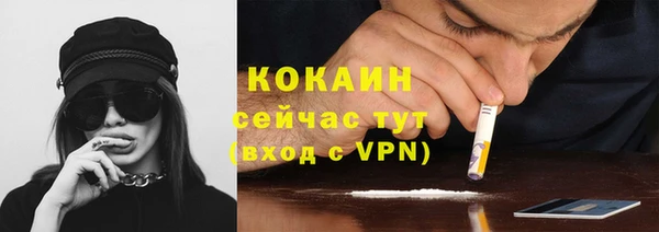 гашик Богданович