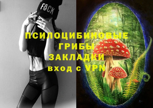 Альфа ПВП Богородск