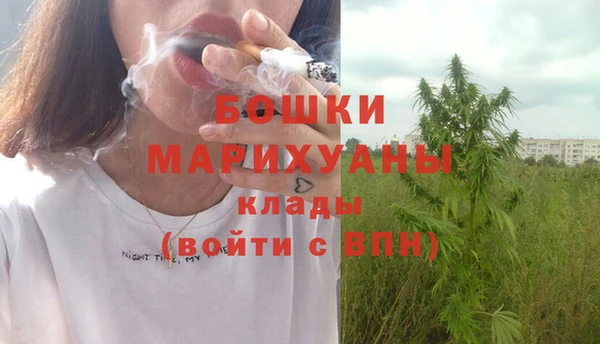 гашик Богданович