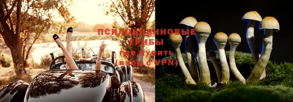 гашик Богданович