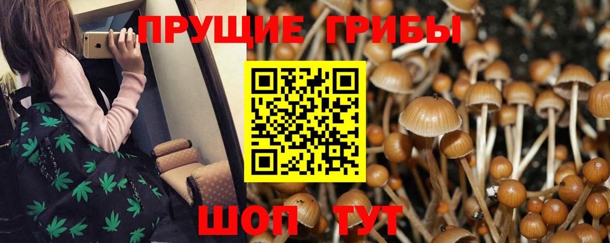 Малоярославец  Галлюциногенные грибы Psilocybine cubensis  Галлюциногенные грибы GOLDEN TEACHER  Вход с VPN 